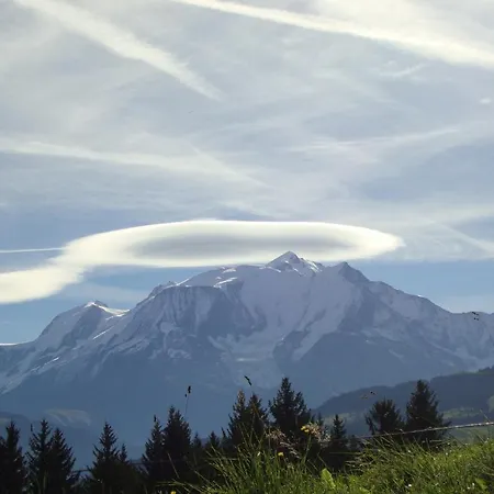 Le Chamois *